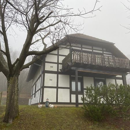 Ferienwohnung Lix Direkt Am Waldrand Frankenau Eksteriør billede